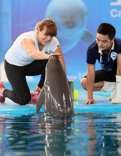 强强对话更 强强对话更